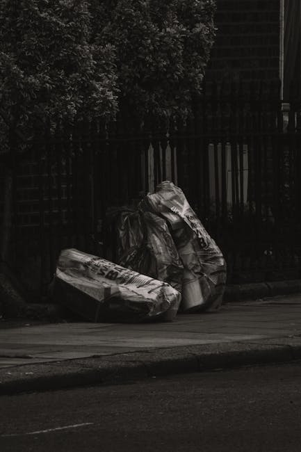 Plaistow residents what to know about Newham rubbish rules